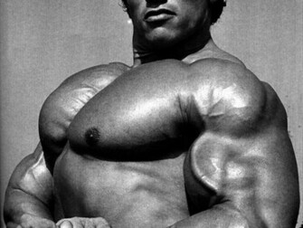 Arnold Schwarzenegger Wallpaper HD
