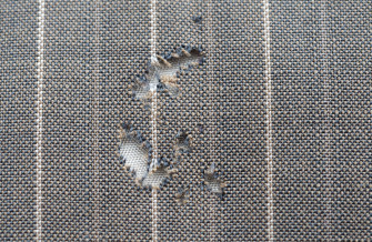Preventing Damage From Clothes Moths And Carpet Beetles Wallpaper