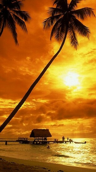 Tropical Sunset Wallpaper Beach