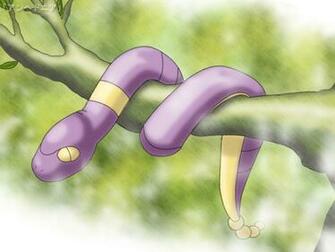 Drowsy Pokemon Wallpaper Image