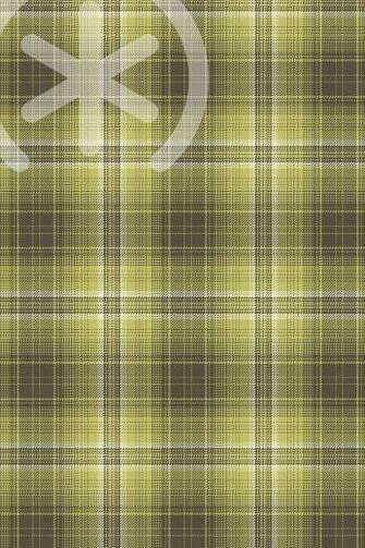 Aloe Fade Out Plaid