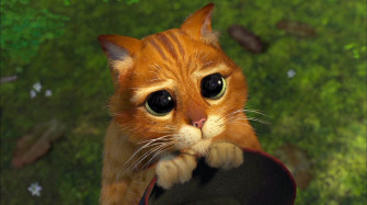Shrek HD Wallpaper And