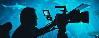 Phfx Phil Holland Cinematographer