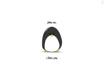 Cute Penguin Wallpaper HD