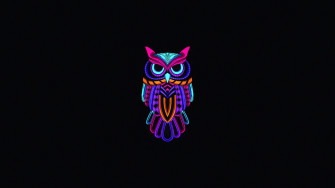 Minimal Art Owl Dark 4k Gnome Look Org