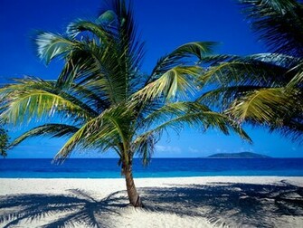 Beach Nature Wallpaper 3d