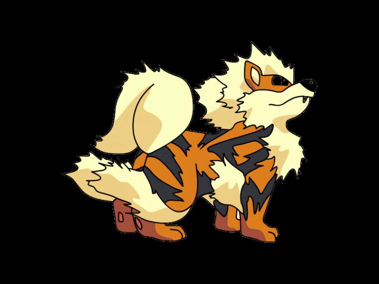 Arcanine Image HD Wallpaper And Background