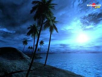 Definition Wallpaper Photo Tropical Html