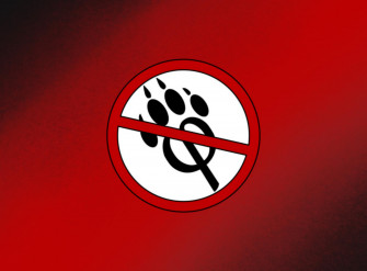 Antifurry Wallpaper Shit Thing I Made Laugh At This Because Its