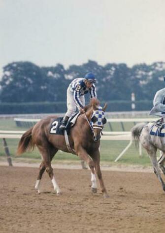 Secretariat Horse