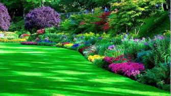 Garden HD Wallpaper