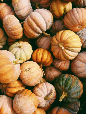 Thanksgiving Wallpaper For iPhone Popsugar Tech
