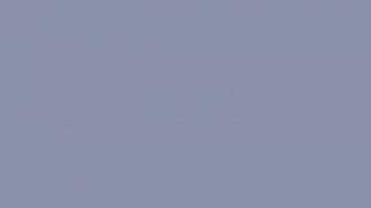 Cool Grey Solid Color Background And Colors Bright