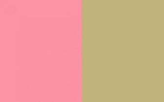 Resolution Salmon Pink And Sand Solid Two Color Background