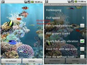 Koi Live Wallpaper For Windows