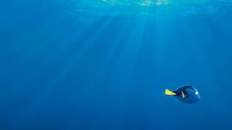 Wallpaper Finding Dory Nemo Shark Fish Pixar
