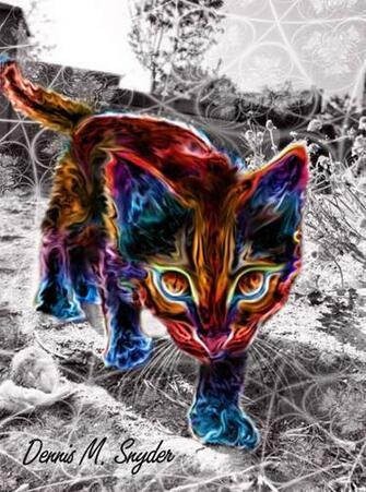 Dmt Art Wallpaper Kitty By Thetaoengine