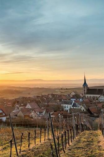 France Alsace Blienschwiller Houses Fields Sunshine