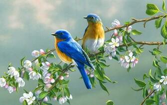 Birds Branches Blossoms Wallpaper Stock