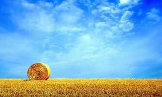 Wallpaper Autumn Dodgerblue Sienna Goldenrod HD