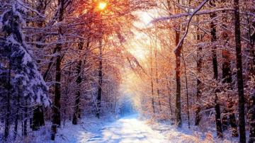 Like Or Share Creek Winter Forest Wallpaper Snowy