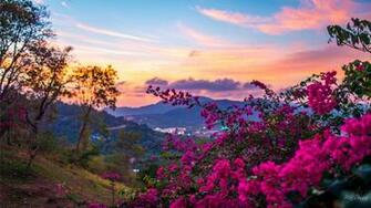 Spring Wallpaper Pc Pnjl887 Wallperio