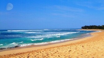 From Wallpaper Hawaii Beach