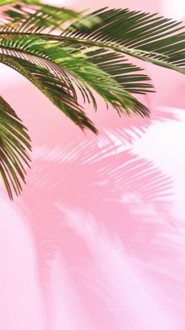 Pretty Wallpaper For Your Shiny New iPhone Preppy