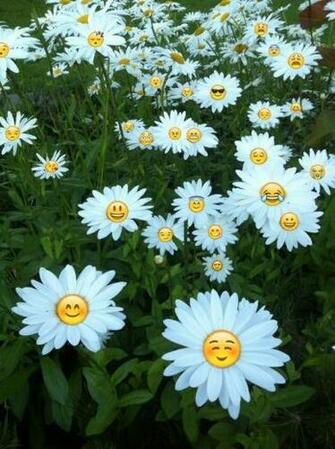 Emoji Background Related Keywords Suggestions