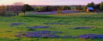 Wallpaper Field Home Trees Landscape Desktop