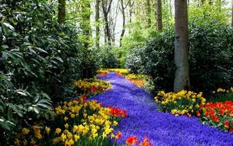 Spring Wallpaper For Your Regular Or Widescreen Desktop Computer
