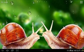 Rain Live Wallpaper Beautiful With Rainy Effect