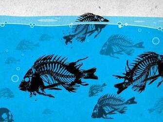 Fishing Wallpaper And Image Pictures Photos