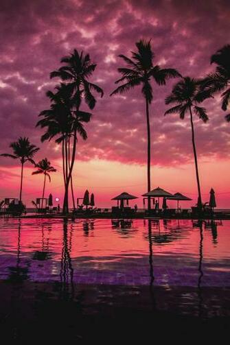 Motivationsforlife Negombo Beach Sri Lanka By Recal Medi