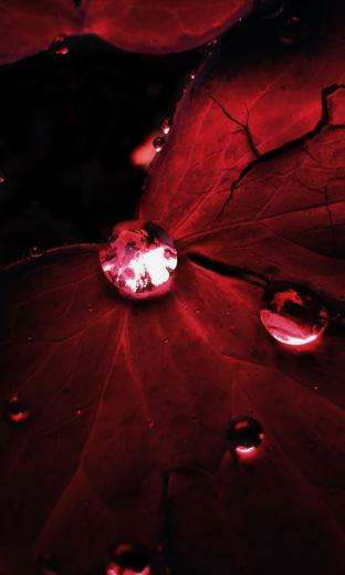 Blackberry Z30 Wallpaper Themes