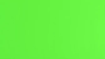 Solid Green Wallpaper