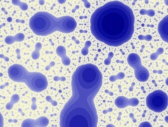 Bacteria Wallpaper