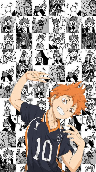 Hinata Shoyo Manga Wallpaper