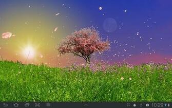 Spring Trees Live Wallpaper Android Apps On Google Play