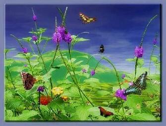 Butterfly Garden Wallpaper