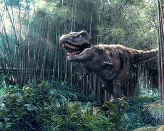 Rex Wallpaper Fun Animals Wiki Videos Pictures Stories