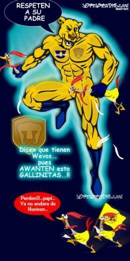 Pumas Vs Gallinas Por Hbk1 Wallpaper Fotos De Unam