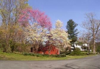 Farm In The Spring Wallpaper