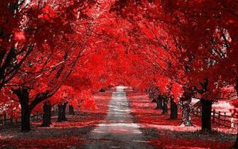 Autumn Computer Wallpaper Desktop Background Id