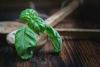 Basil 4k Ultra HD Wallpaper Background Image Id