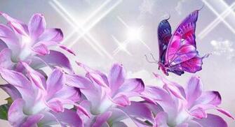 Lavender Flower Wallpaper