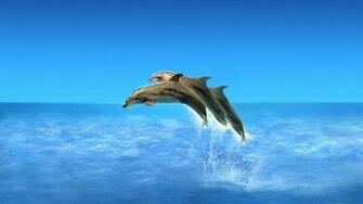 HD Dolphins Live Wallpaper Pro Screenshot