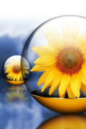 iPhone Wallpaper HD Creative Flowers