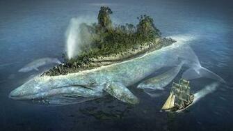 Wallpaper Whale Island Resort Desktop