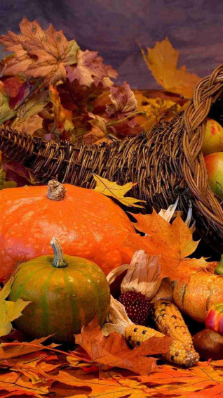 Fall Thanksgiving Wallpaper